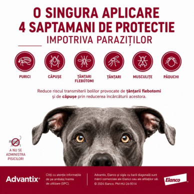 Advantix – Pipetă Repelentă pentru Câini 25–40 kg (Deparazitare Externă, Elanco)